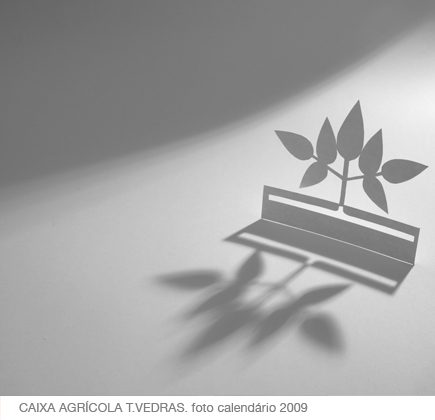a carregar imagem...